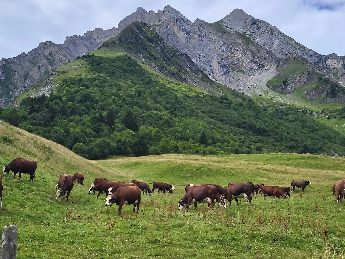 La Petite Anfiane Chalet